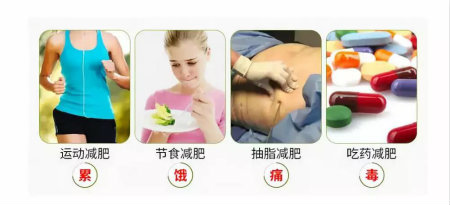 自己的体型管理师：H-TREE减肥排毒套餐，安心瘦，健康美！