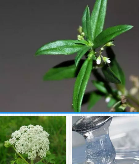 唯拾壹|5秒瞬吸续命眼霜，是时候开始你的“养眼”计划了