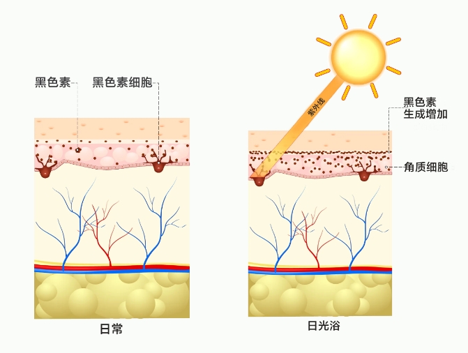 微信截图_20240725155032.png